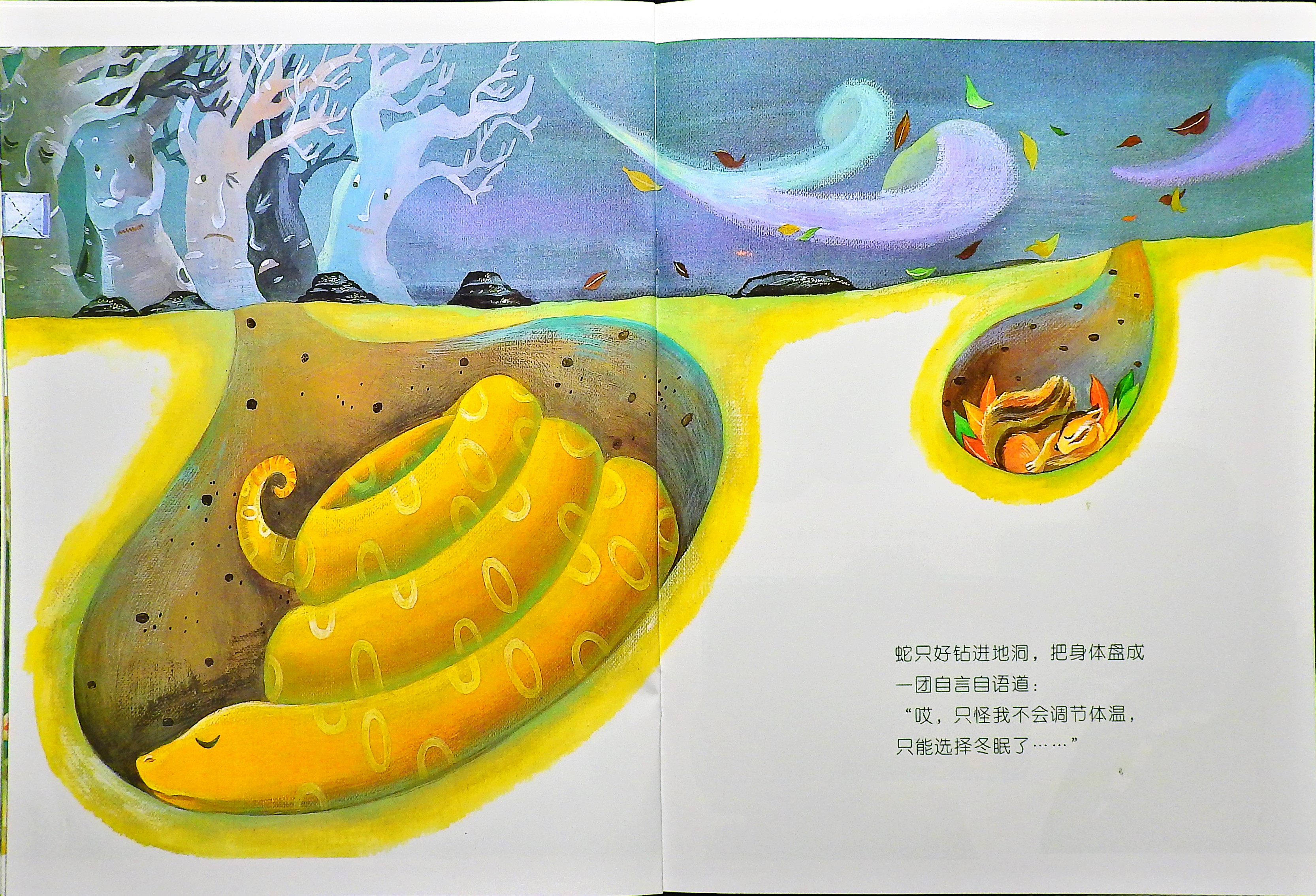 蛇究竟去了哪里？ (10),绘本,绘本故事,绘本阅读,故事书,童书,图画书,课外阅读